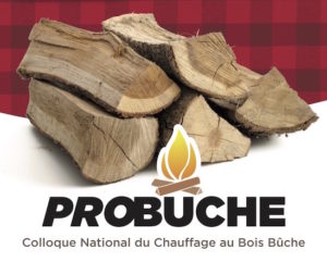 Probûche