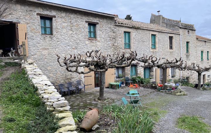 Charbon de bois 20 litres - Provence Outillage